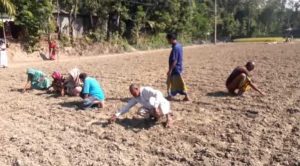 জমি সংক্রান্ত বিরোধে রৌমারীতে কাজিম উদ্দিন-বাকাত আলী গংয়ের টানটান পরিস্থিতি