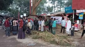 রাস্তা সংস্কার না করার প্রতিবাদে ধান চাষ; সেই ধান কেটে পিঠা উৎসবে মাতলো এলাকাবাসী