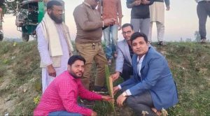উলিপুরে বজ্রপাত প্রতিরোধে তাল গাছের চারা রোপণ করলেন উপজেলা নির্বাহী অফিসার