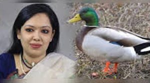 হাঁস প্রতীক পেলেন রুমিন ফারহানা