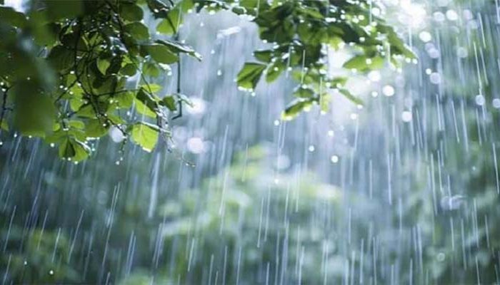 সকালের মধ্যে ১৯ অঞ্চলে ঝড়-বৃষ্টির আভাস