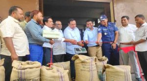 বর্তমান সরকার হল কৃষি বান্ধব সরকার-এমপি রোকন উদ্দিন বাবুল