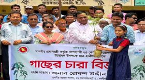 বৃক্ষরোপণ উদ্বোধন করলেন এমপি রোকন উদ্দিন বাবুল