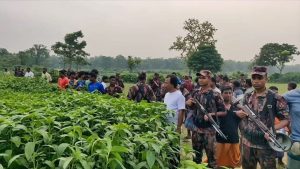 একের পর এক পুশইনের চেষ্টা, প্রতিরোধে বিজিবির কড়া নজরদারি