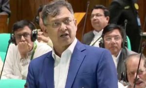 ‘বর্তমান সংসদের কোনো সদস্য ঋণখেলাপি নেই, ঋণগ্রস্ত আছেন’