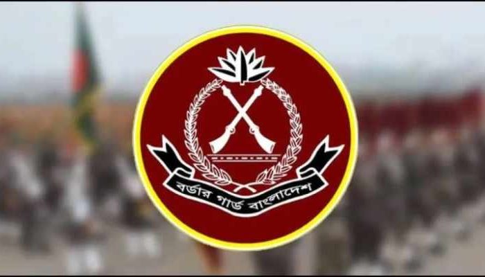 বিজিবিতে অসামরিক ১৭৪ পদে নিয়োগ