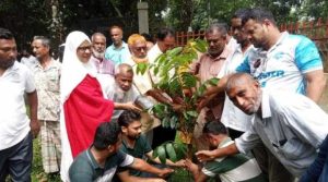 ডোমারে পৌর বিএনপি’র আলোচনা সভা ও বৃক্ষরোপন কর্মসূচি পালিত