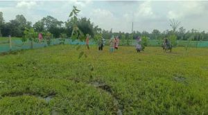 জলঢাকা পাইটকা পাড়ায় এক অসহায় পরিবারের জমি দখলের চেস্টা
