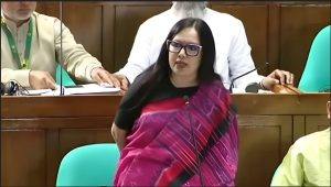 ‘দুষ্টু লোকেরা বলে টুকু আসে-টুকু যায়,’ লোডশেডিং নিয়ে সংসদে রুমিন ফারহানা