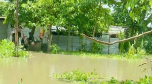 পদ্মায় পানি বাড়ছে হু হু করে, বিপৎসীমার দ্বারপ্রান্তে