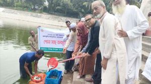 উলিপুরে ২শ ২৫ কেজি পোনা মাছ অবমুক্ত ও বিতরণ