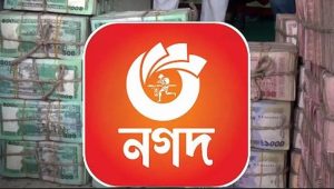ভাতার টাকা লোপাটের অভিনব কৌশল, অনুসন্ধানে উঠে এলো ‘নগদ’-এর নাম