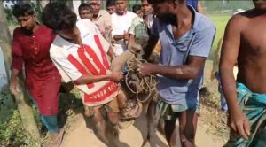 রৌমারীতে মাদকাসক্ত ব্যক্তির ছুরিকাঘাতে চাচি নিহত আহত ৬